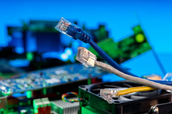 Fils Ethernet Haute Vitesse Pour Transmission Données Réseau Internet Gros — Photo