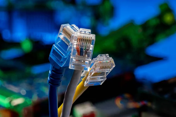 Cables Color Ethernet Para Redes Internet Conector Transferencia Datos Con — Foto de Stock