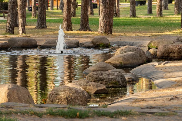 公共花园有喷泉的人工池塘 — 图库照片