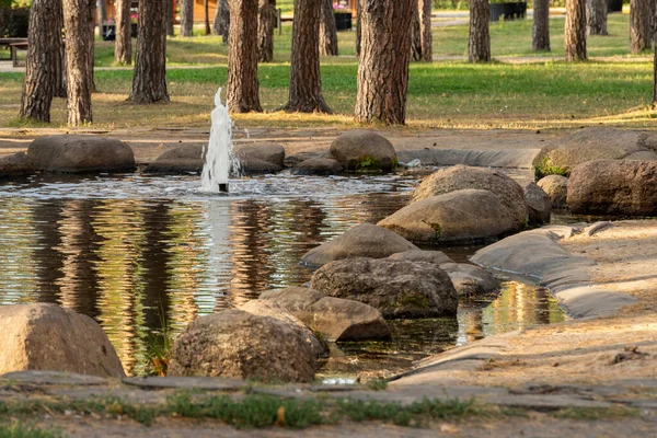 Umělý Rybník Fontánou Veřejné Zahradě — Stock fotografie