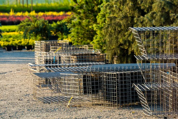 Μεταλλικό Πλέγμα Για Δημιουργία Παρτεριών Και Παραδόσεων Πυκνής Μορφής Για — Φωτογραφία Αρχείου