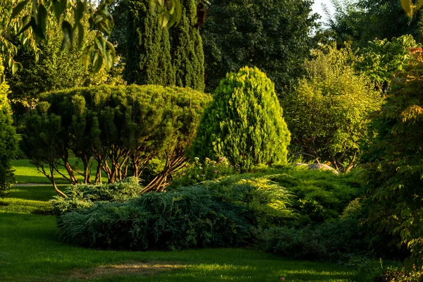 Césped Arbustos Largo Del Camino Diseño Del Paisaje — Foto de Stock