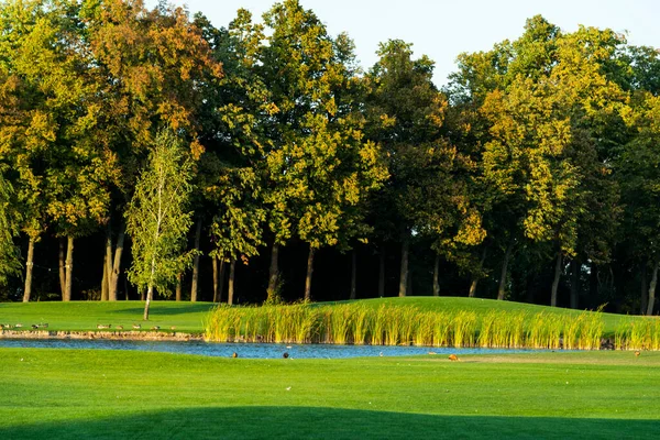 large open manicured meadow