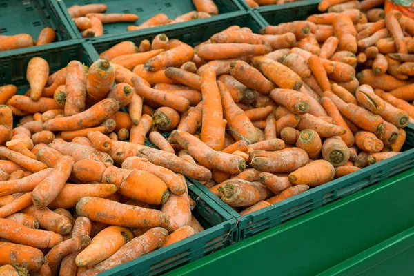 Морква Ящиках Продаж — стокове фото