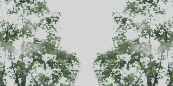 木の緑の葉の背景の抽象的な不鮮明な画像 — ストック写真
