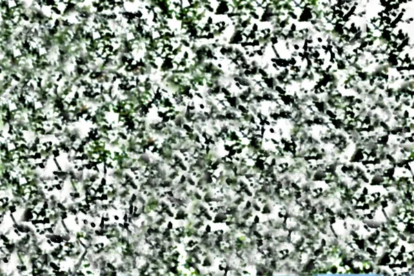 Abstrato Árvore Borrada Verde Folhagem Textura Fundo — Fotografia de Stock