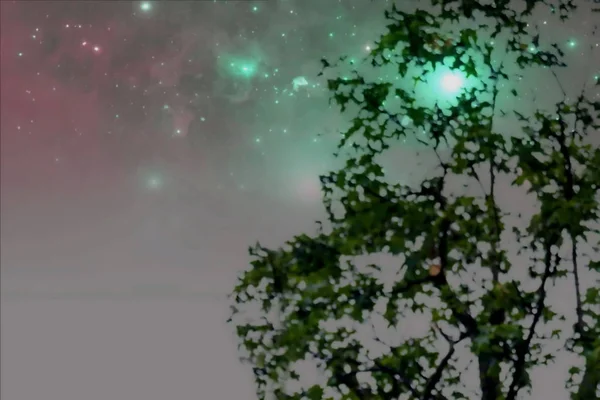 Abstrakte Fantastische Verschwommene Nacht Bild Von Baum Grün Laub Hintergrund — Stockfoto