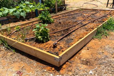İlkokul öğrencilerinin tarım ve tarım hakkında bilgi edinebilecekleri özel bir sitede nokta damlası sulama sistemiyle ekime hazır bir toprak yatak.