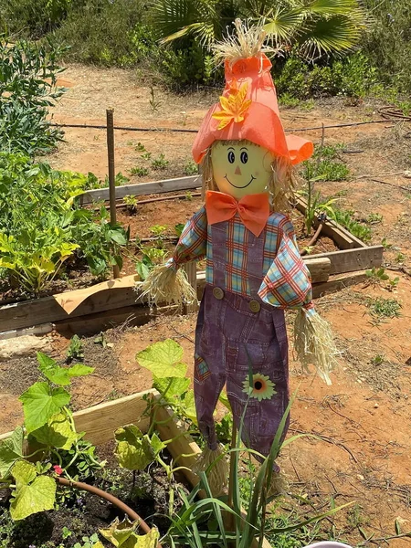 Scarecrow Special Site Wooden Boxes Primary School Students May Learning — Stock Photo, Image