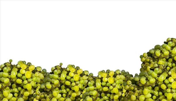 Beyaz Arka Planda Tatlı Yeşil Üzümler — Stok fotoğraf