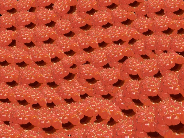 Rode Zomer Framboos Achtergrond — Stockfoto