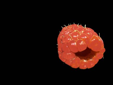 Siyah arkaplanda bir ahududu