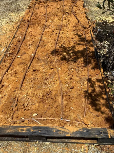 Una Cama Tierra Preparada Para Plantar Con Sistema Riego Por — Foto de Stock