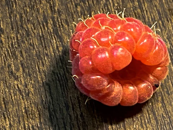 Eine Himbeere Auf Braunem Holztisch — Stockfoto