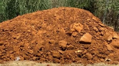 Yeşil çalılıklarda dağ veya kırmızı toprak yığını