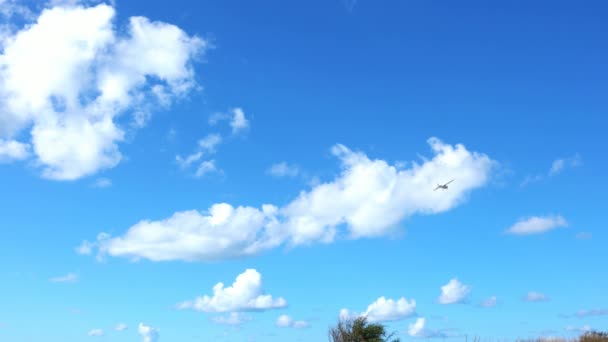 Kis Repülőgép Repül Égen Felhők Mint Háttérben — Stock videók