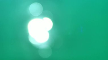 Yansıyan balık sürüleriyle dolu bir su yüzeyine odaklanmış ışık yansıması görüntüsü. Güneş batarken odak noktasından yansıyan parıltılar. 4K