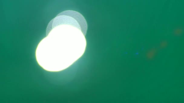 Aufnahmen Von Defokussierter Lichtreflexion Auf Einer Wasseroberfläche Mit Schwärmen Vorbeiziehender — Stockvideo