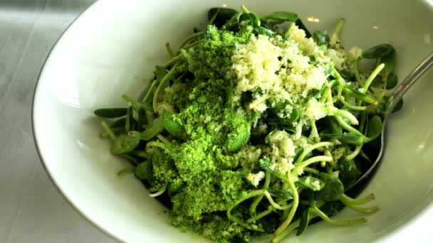 Ayçiçeği Salatasını Masada Beyaz Tabakta Filizlendirir — Stok video