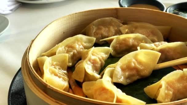 Gyoza Klimpar Populär Japansk Mat — Stockvideo