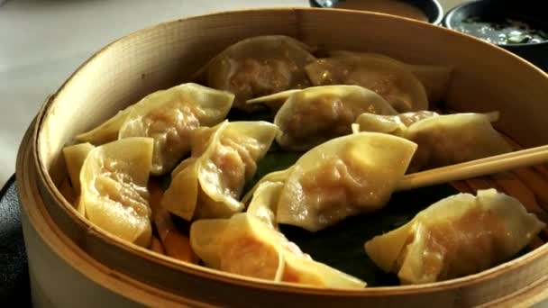 Gyoza Knoedels Populair Japans Eten — Stockvideo