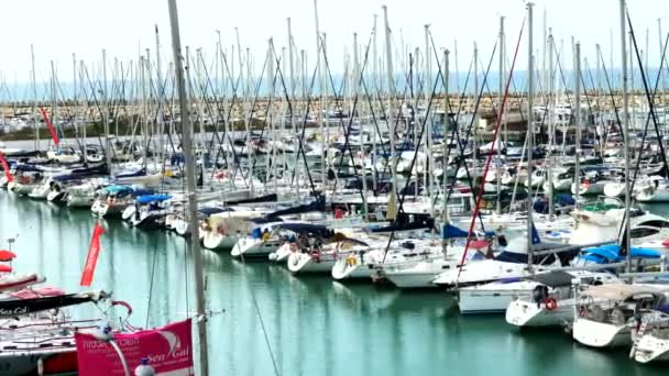 Herzliya Israel Enero 2019 Yates Vela Herzliya Marina Puerto Deportivo — Vídeo de stock