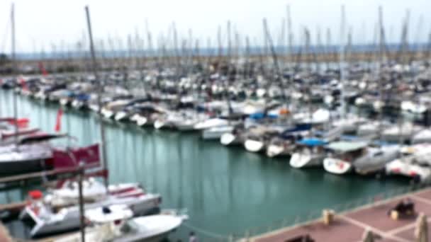 Barche Vela Marina Vista Offuscata — Video Stock