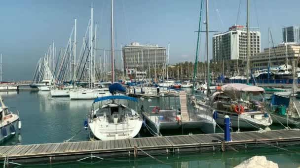 Herzliya Israel Ocak 2019 Herzliya Marina Yelkenli Tekneleri Srail Büyük — Stok video