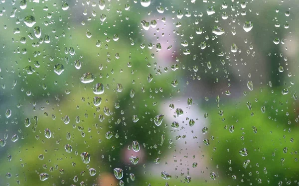 Raindrops on the window pane. Outside the window, you can see the silhouettes of blurred green trees. View from the window on a rainy day