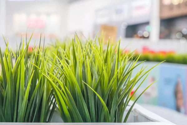 Green plastic plants in long white planters in a shopping center, imitation of lawn grass. High quality photo — Stock Image Green Plastic Plants Long White Planters Shopping Center Imitation Lawn Stock Picture