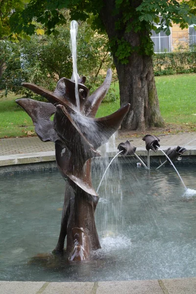 Brunnen Park — Stockfoto