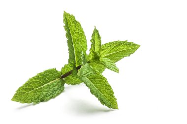 Naneli yapraklar beyaz arkaplanda izole edilmiş