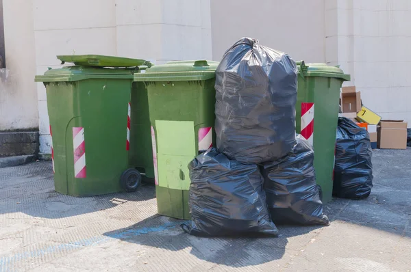 Garbage bags left outside the bins in the street