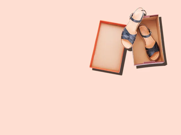 Modern kadın moda ayakkabı kutusunda üzerinde pastel arka plan izole — Stok fotoğraf