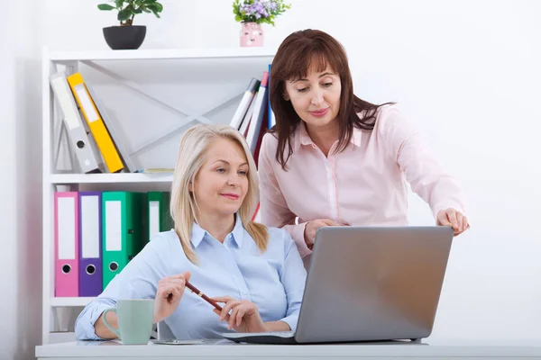 Two managers working on laptop in office. — Stock Photo, Image