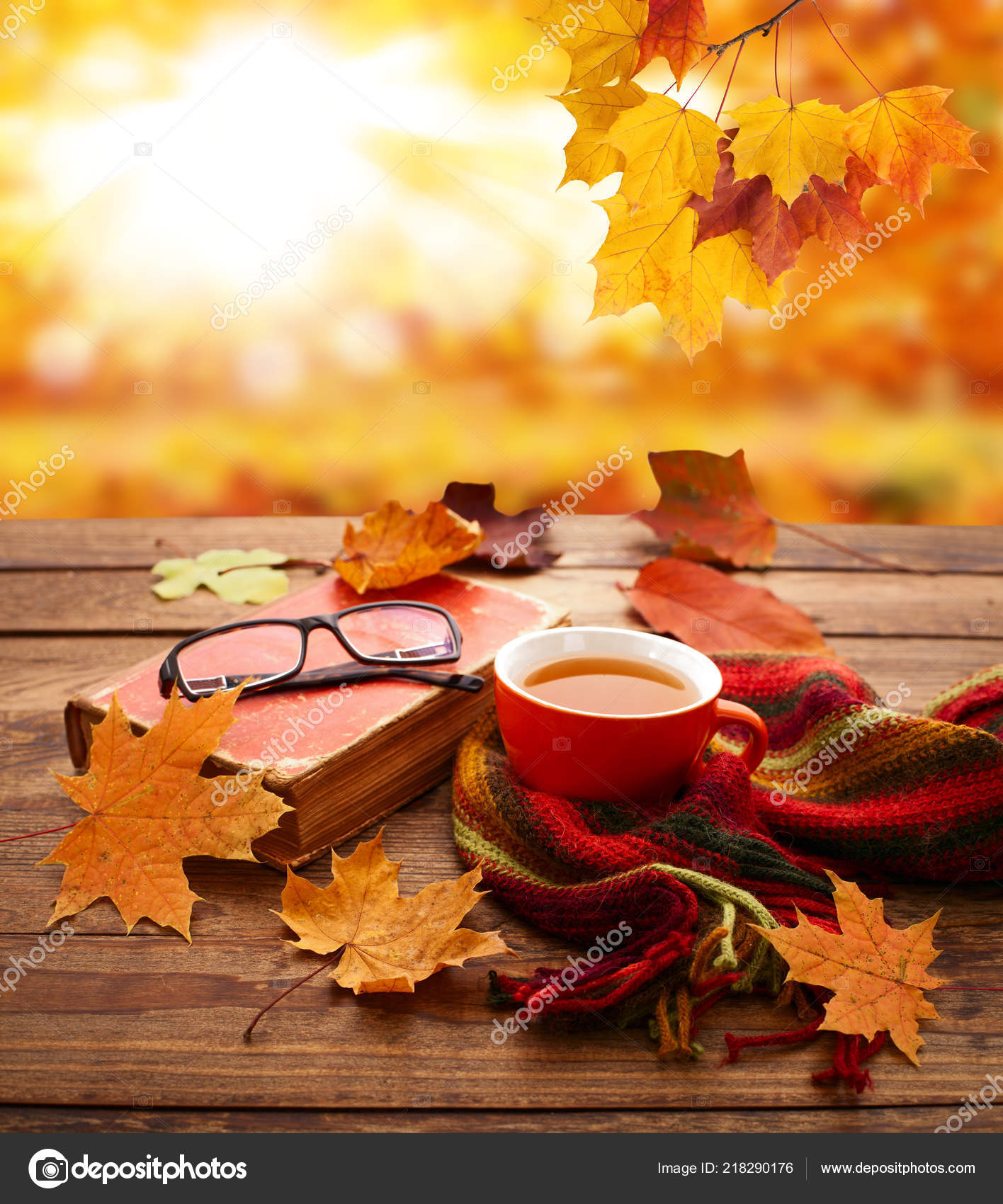 Fondo de otoño. Hojas de otoño, libro y taza de té sobre mesa de madera en  el parque . — Foto de stock #218290176 © victoreus, image size:1416x1700