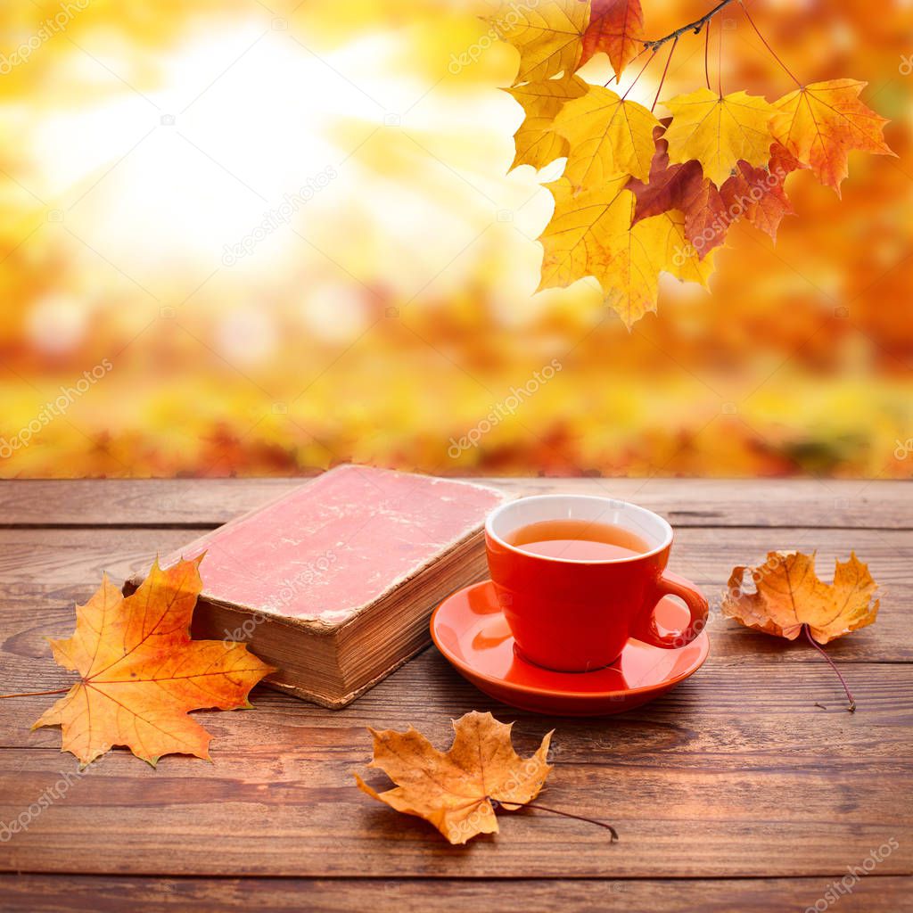 Fondo de otoño. Hojas de otoño, libro y taza de té sobre mesa de madera en  el parque . — Foto de stock © victoreus #218290008, image size:1024x1024