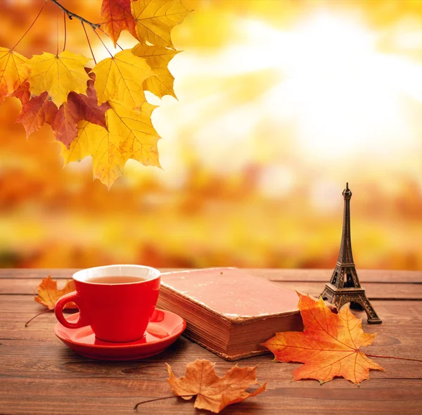 Autumn background. Autumn leaves, book and cup of tea on wooden table in park. — Stock Photo, Image