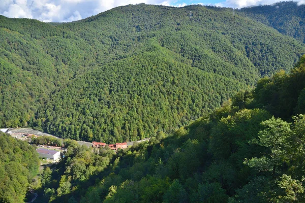 Höst i bergen i Kaukasus. Stockbild