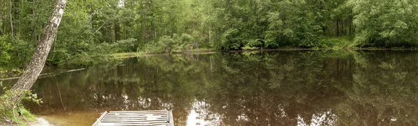 Panorama del lago del bosque . — Foto de Stock