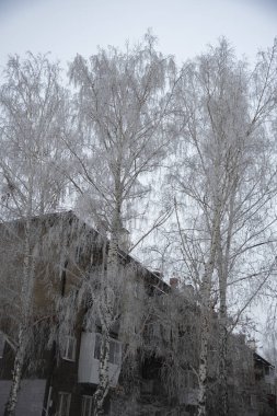 Dondurucu yağmur sonbaharda yağdı.