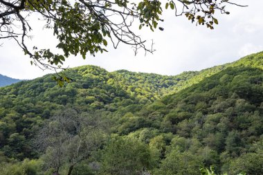 dağlar ve ormanlar Abhazya.