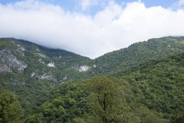 dağlar ve ormanlar Abhazya.
