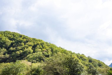 dağlar ve ormanlar Abhazya.