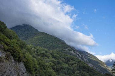 dağlar ve ormanlar Abhazya.