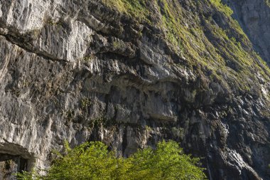 dağlar ve ormanlar Abhazya.
