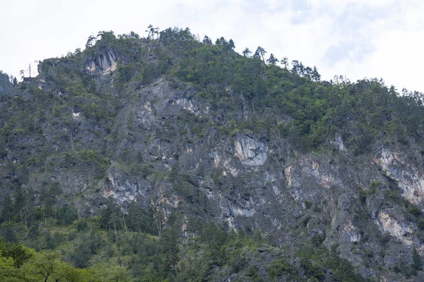 Montagnes et forêts d'Abkhazie . — Photo