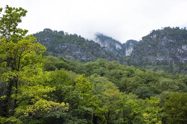 Montañas y bosques de Abjasia . — Foto de Stock