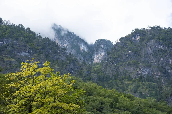 Montañas y bosques de Abjasia . — Foto de Stock