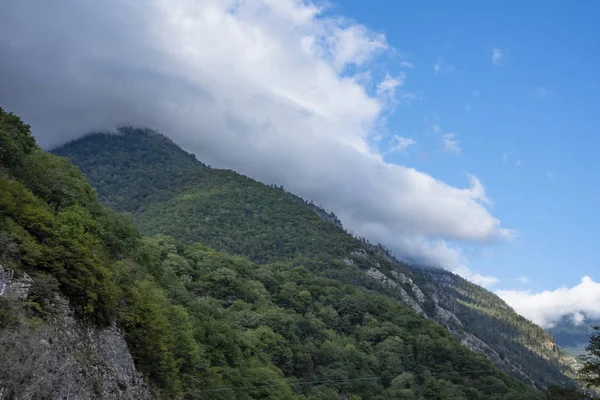 Montagnes et forêts d'Abkhazie . — Photo